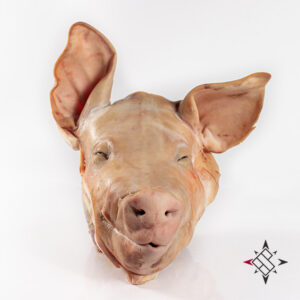 Cabeza de puerco