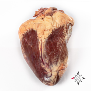 CORAZON DE RES NACIONAL