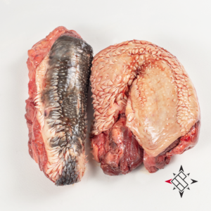 LABIO MIXTO